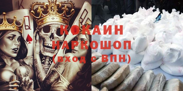 Альфа ПВП Горняк