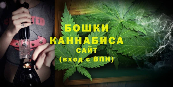 Альфа ПВП Горняк