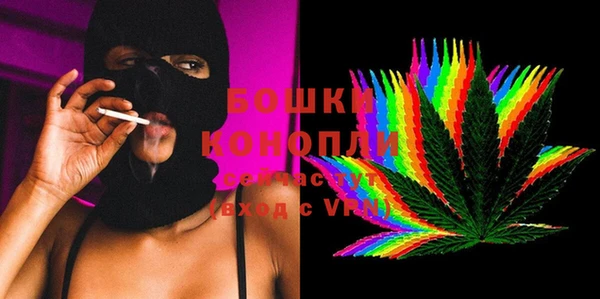 Альфа ПВП Горняк