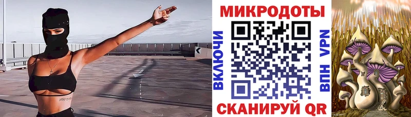 закладка  блэк спрут зеркало  Галлюциногенные грибы мицелий  Донецк 